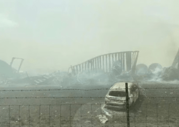 EEUU: Tormenta de polvo en carretera de Illinois causó seis muertos