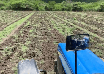 Venezuela: piden liberación de productores detenidos por deshacerse de parte de sus cosechas por falta de combustible