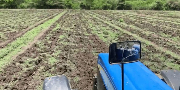 Venezuela: piden liberación de productores detenidos por deshacerse de parte de sus cosechas por falta de combustible