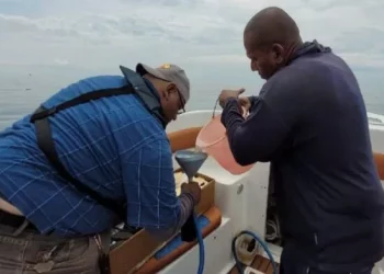 Gobierno ordena a seis empresas paralizar sus actividades por contaminar el Lago de Maracaibo