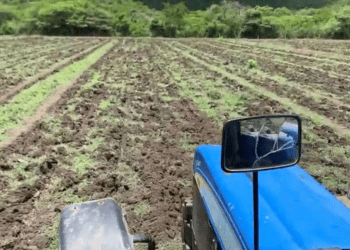 Productores agropecuarios trabajan la tierra en una zona ganadera de Venezuela. ARCHIVO