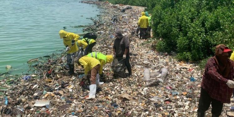 Zulia: toneladas de plástico fueron recolectadas del Lago de Maracaibo