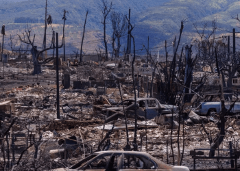 Número de muertos por incendio de Maui-Hawái se eleva a 106
