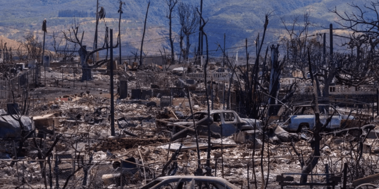 Número de muertos por incendio de Maui-Hawái se eleva a 106