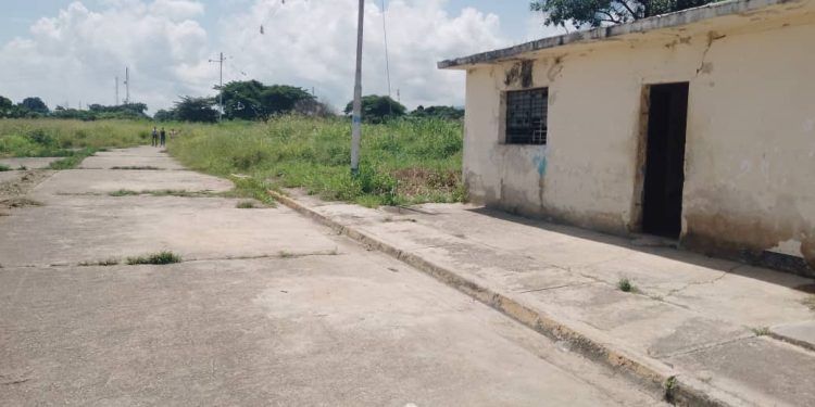 Carabobo: Vecinos de Carlos Arvelo, denuncian que Cementerio «La Linda» se encuentra perdido entre la maleza