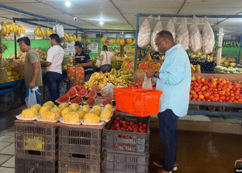 Clientes hacen sus compras de verduras y hortalizas en un negocio de comida y víveres varios en Maracaibo, Venezuela, el pasado 13 de julio de 2023.