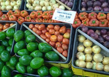 Quienes transporten verduras , vegetales y frutas deben sacar un nuevo permiso sanitario para movilización