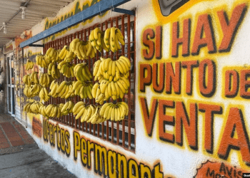 Fachada de un negocio de venta de frutas, hortalizas, vegetales y víveres en Maracaibo, Venezuela. Un observatorio independiente calculó que la inflación de agosto en Venezuela fue de 13,6%.