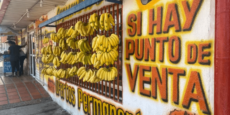 Fachada de un negocio de venta de frutas, hortalizas, vegetales y víveres en Maracaibo, Venezuela. Un observatorio independiente calculó que la inflación de agosto en Venezuela fue de 13,6%.