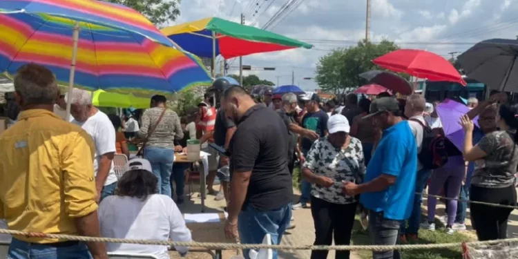 Primarias 2023: La Red de Observación Electoral, informó que primarias contaron con más de 12 % del padrón electoral