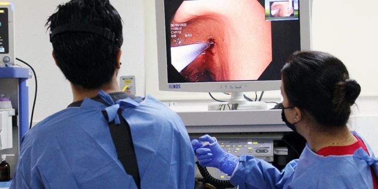Chile: 70% de la población chilena estaría infectada con bacteria que es el mayor factor de riesgo de cáncer gástrico