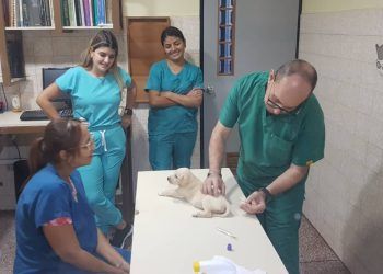 Convenio CNP Carabobo y Policlínico Veterinario del Centro beneficiará a mascotas de periodistas