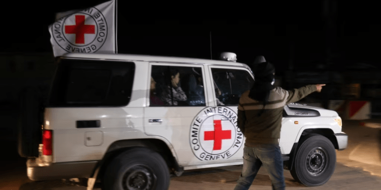 Hamás libera a 13 rehenes israelíes y 7 extranjeros en segundo grupo (+Video)