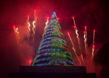 Carabobo: Comenzó la navidad en San Diego tras encendido del gran árbol navideño (Imágenes + Video)