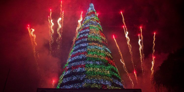 Carabobo: Comenzó la navidad en San Diego tras encendido del gran árbol navideño (Imágenes + Video)