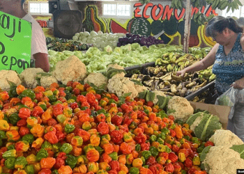 Una cliente escoge sus productos en un mercado de verduras y frutas en Maracaibo, Venezuela, en julio de 2023. La inflación de alimentos y otros bienes y productos en el país suramericano fue de 182,9% entre enero y noviembre de este año.