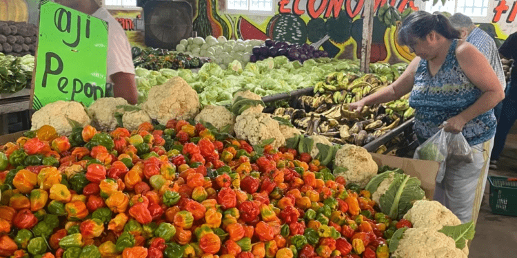 Una cliente escoge sus productos en un mercado de verduras y frutas en Maracaibo, Venezuela, en julio de 2023. La inflación de alimentos y otros bienes y productos en el país suramericano fue de 182,9% entre enero y noviembre de este año.