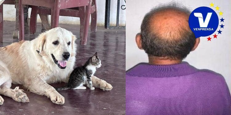 Lara: Detenido asesino de mascotas, tras causar la muerte a más 12 perros usando veneno con vidrios