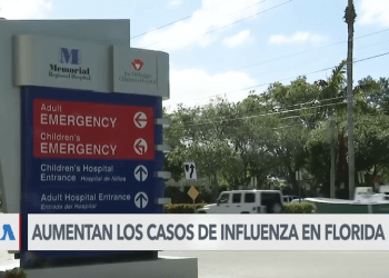 Advierten sobre incremento de contagios de influenza en Florida (Video)