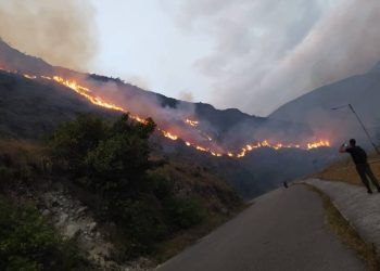 Táchira: Autoridades investigan causas de los incendios forestales en la entidad