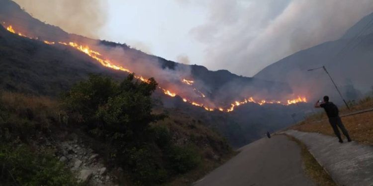 Táchira: Autoridades investigan causas de los incendios forestales en la entidad