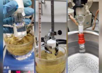 Investigadora U. de Chile transforma el aceite desechado por los hogares en bioplástico