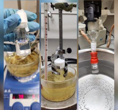 Investigadora U. de Chile transforma el aceite desechado por los hogares en bioplástico