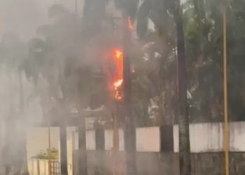 Continúa el caos eléctrico en Valencia, habitantes de la Viña cumplen ocho días sin electricidad