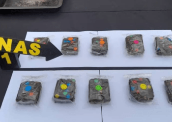 Delta Amacuro: Condenan a 18 años de prisión a  joven acusada de vender brownies con marihuana