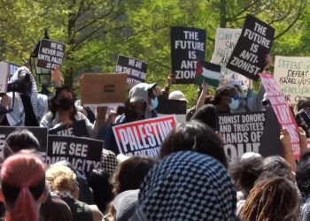 Panorama | ¿Por qué hay protestas estudiantiles en universidades de Estados Unidos? (+ Video)