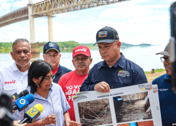 Delcy Rodríguez: «Extremismo …, ahora tiene estos planes perversos contra infraestructura vital de la nación»