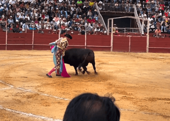 Colombia: Controversial ley prohíbe las corridas de toros divide al país (+Video)
