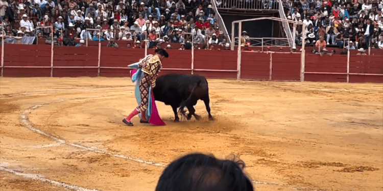 Colombia: Controversial ley prohíbe las corridas de toros divide al país (+Video)