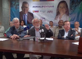 Tulio Pacheco: “Venezuela merece que trabajemos por ella intensamente antes y después del 28 de Julio”