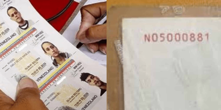 Observatorio Electoral Venezolano: Los números rojos que aparecen detrás de la cedula de identidad no permiten un voto paralelo