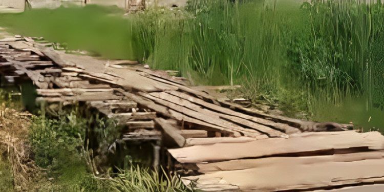Falcón | Vecinos reciben apoyo para reparar puente en Tucacas