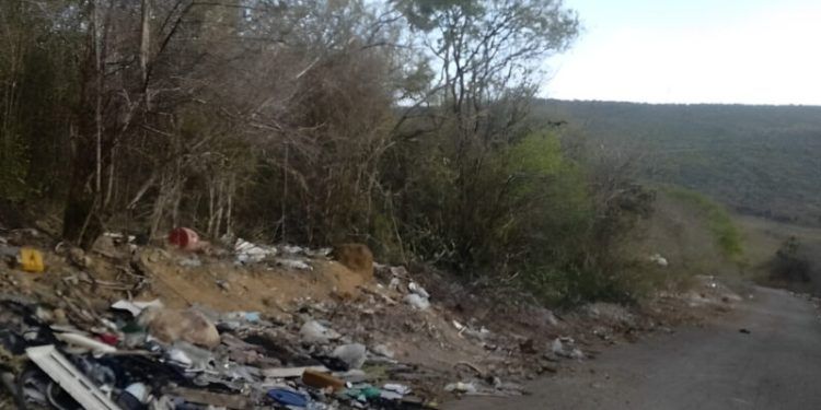 Falcón | Carretera de Cumarebito convertida en vertedero de basura (+Imágenes)
