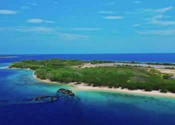 Día Mundial de las Playas desde Puerto Cabello: Un llamado a la acción consciente para la protección