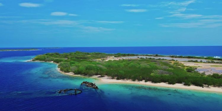 Día Mundial de las Playas desde Puerto Cabello: Un llamado a la acción consciente para la protección