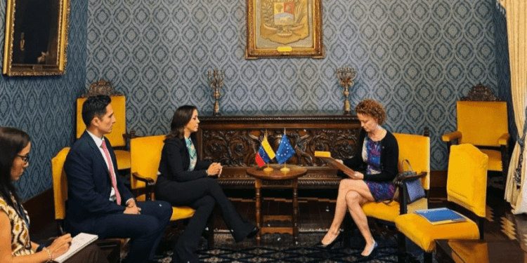 Cancillería de Venezuela entrega nota de protesta a Jefa de la Delegación de la UE en Caracas