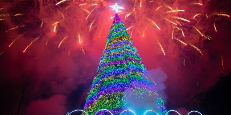 Encendido del Arbol de Navidad San Diego 2024-Imágen Prensa Alcaldía de San Diego.