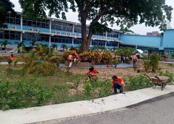 Limpian áreas verdes del Hospital Dr. Adolfo Prince Lara en Puerto Cabello