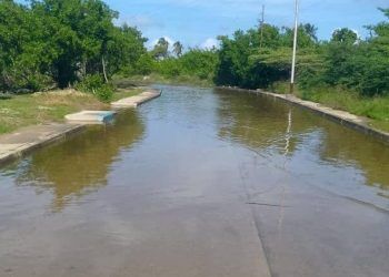 Falcón | Lluvias sacan a flote fallas de drenajes en Los Cangrejos de Chichiriviche