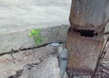 Falcón | Habitantes de Yaracal denuncian que poste de electricidad está a punto de caer (+Imágenes)