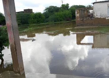 Piden fumigación para evitar el dengue en la Costa Oriental de Falcón