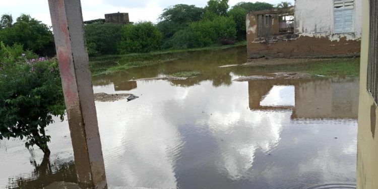 Piden fumigación para evitar el dengue en la Costa Oriental de Falcón