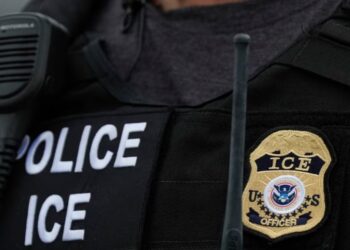 ARCHIVO - El logo del Servicio de Inmigración y Control de Aduanas de Estados Unidos, puede verse en el uniforme de un agente el 17 de diciembre de 2024, en el distrito del Bronx de Nueva York.