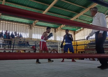 Carabobo: más de 14 clubes de boxeo rumbo a conformar selección regional