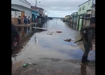 Guárico: En alerta tras crecida de los ríos Orinoco y Portuguesa (+ Video)