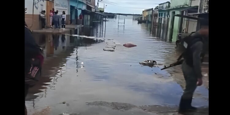 Guárico: En alerta tras crecida de los ríos Orinoco y Portuguesa (+ Video)
